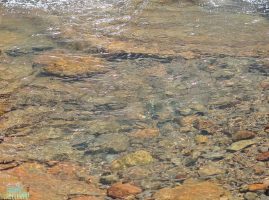 Conseils randonnées Guadeloupe, riviere sans danger