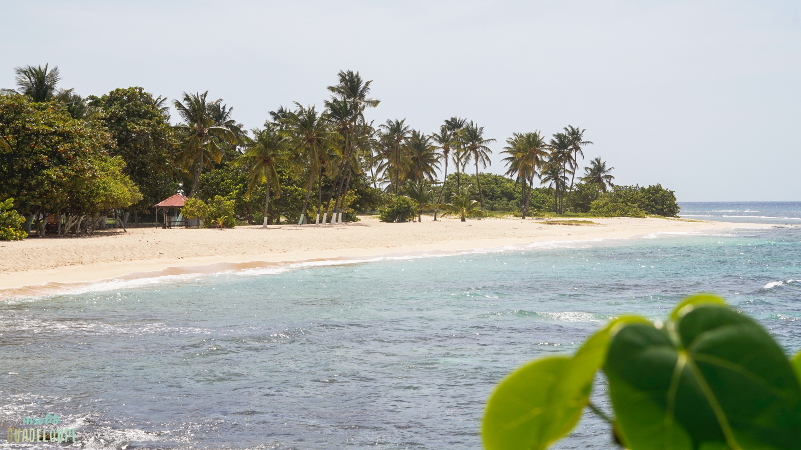 Plage de la Chapelle, Anse-Bertrand, Guadeloupe. Insolite Guadeloupe