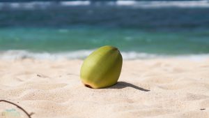 Coco Plage de la Chapelle, Anse-Bertrand, Guadeloupe. Insolite Guadeloupe blog