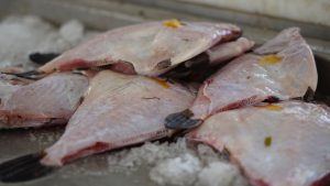 filets de poisson-lions-Guadeloupe-Marché au poisson de Baille-Argent