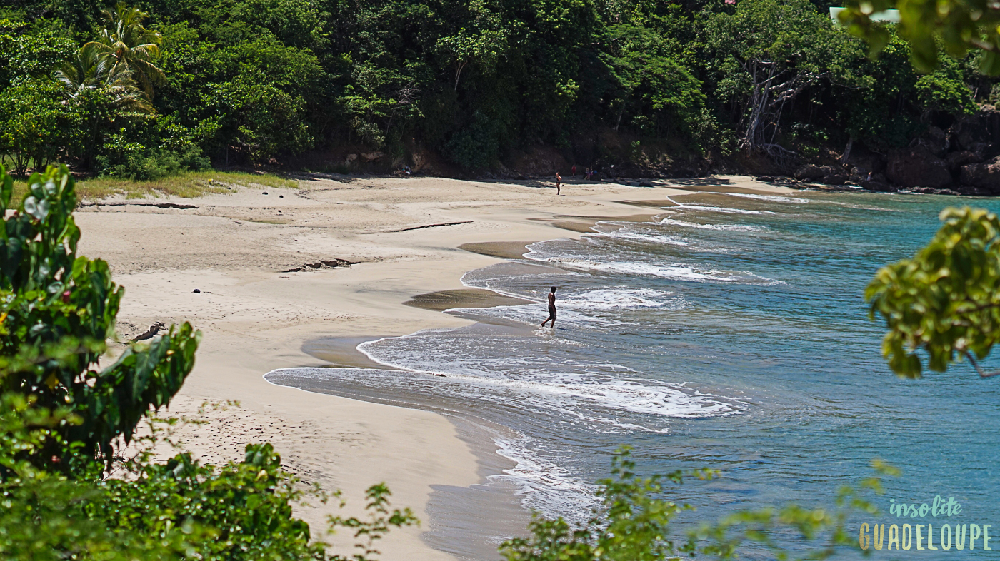 Plage de Leroux, Ferry, Deshaies. Insolite Guadeloupe Voyage3 Insolite Guadeloupe Voyage