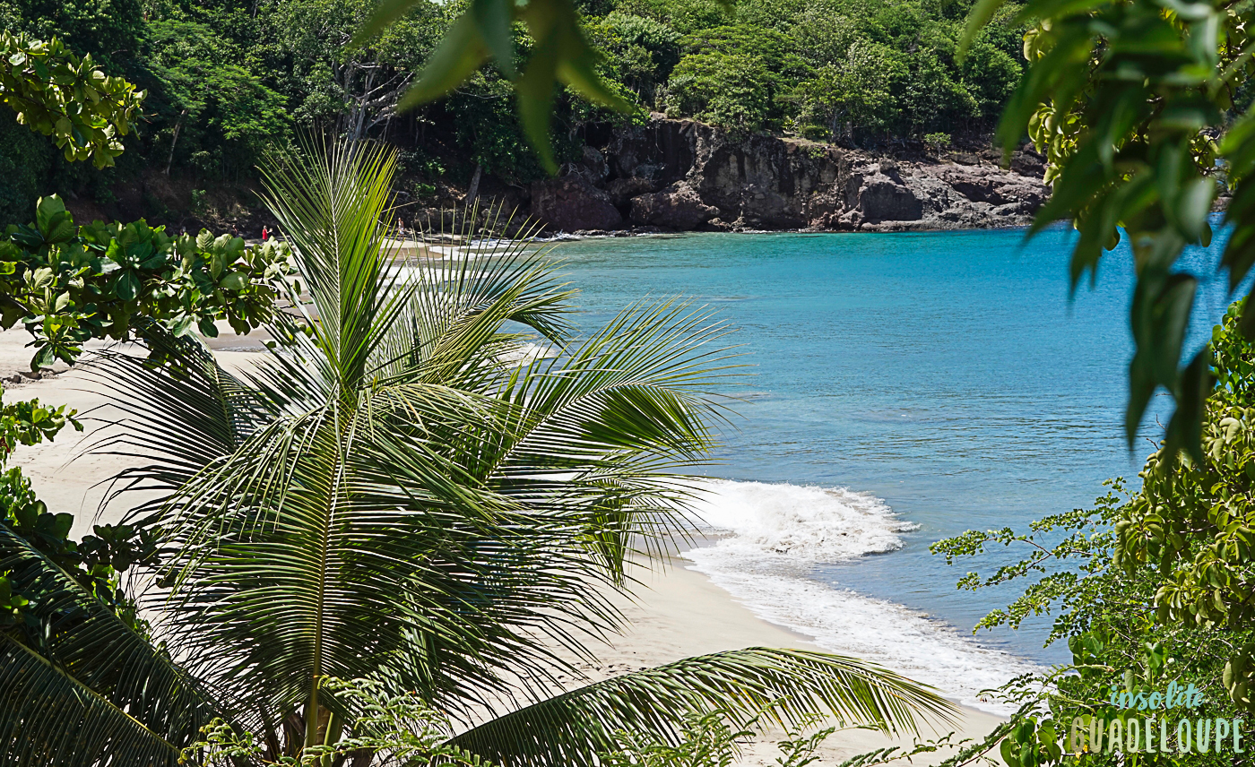 Plage de Leroux, Ferry, Deshaies. Insolite Guadeloupe Voyage6 Insolite Guadeloupe Voyage