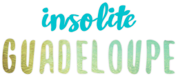 Logo-insolite-Guadeloupe-voyage-2018