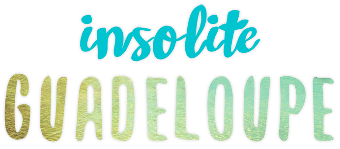 Logo-insolite-Guadeloupe-voyage-2018